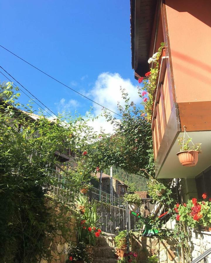 Apartamentos Rurales Los Nogales Cosgaya Exterior photo